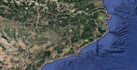 Român care a comis trei crime în Barcelona, în mai puţin de o oră, arestat. Cine a fost prima sa victimă 