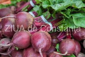 Sucul de sfeclă roșie. Beneficii și contraindicații