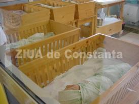 Care sunt anii cu cele mai multe naşteri, căsătorii şi decese în municipiul Constanţa din ultimul deceniu 