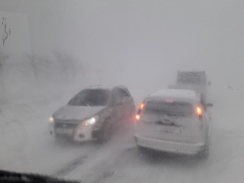 trafic ingreunat pe drumul navodari corbu galerie foto 711592 trafic ingreunat pe drumul navodari corbu galerie foto 711592