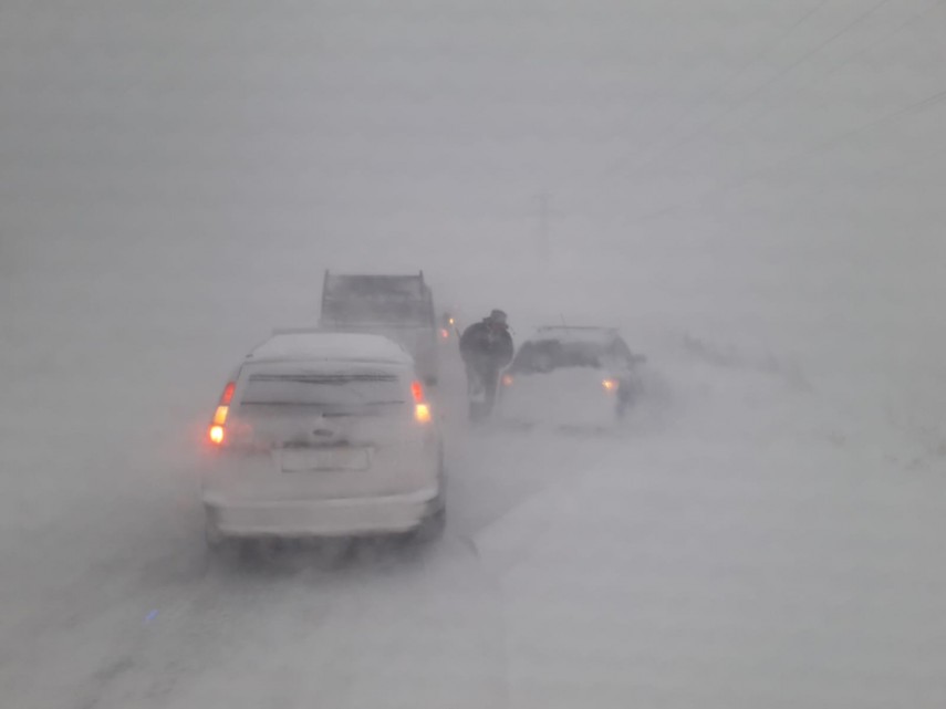 trafic ingreunat pe drumul navodari corbu galerie foto 711592 trafic ingreunat pe drumul navodari corbu galerie foto 711592