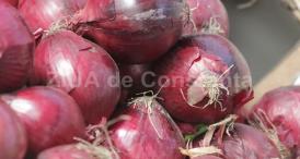 Beneficiile consumului de ceapă