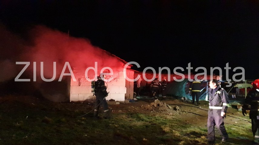 incendiu in incinta unui adapost de animale din techirghiol 712298 incendiu in incinta unui adapost de animale din techirghiol 712298