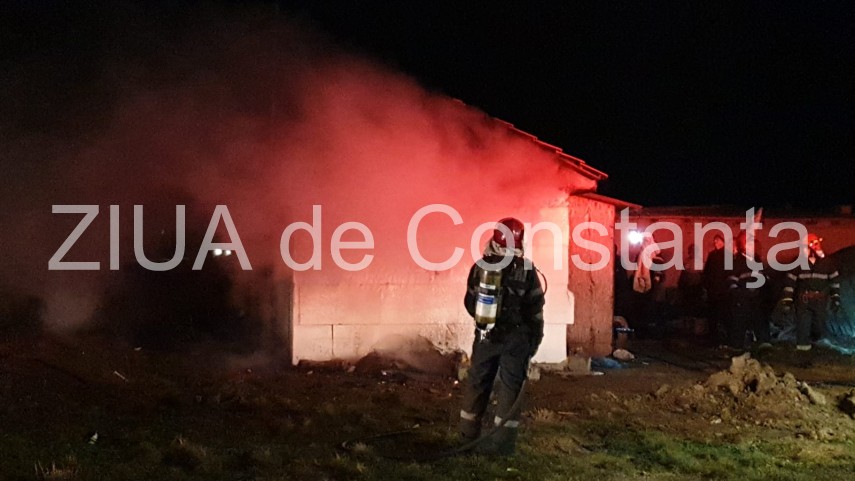 incendiu in incinta unui adapost de animale din techirghiol 712298 incendiu in incinta unui adapost de animale din techirghiol 712298