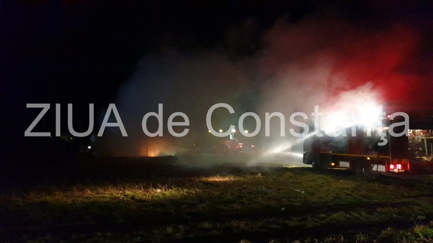 incendiu in incinta unui adapost de animale din techirghiol 712298 incendiu in incinta unui adapost de animale din techirghiol 712298