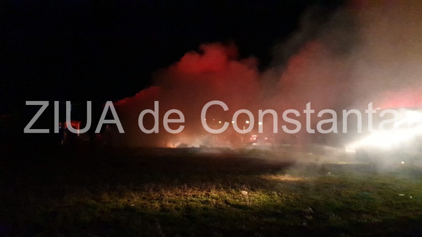 incendiu in incinta unui adapost de animale din techirghiol 712298 incendiu in incinta unui adapost de animale din techirghiol 712298