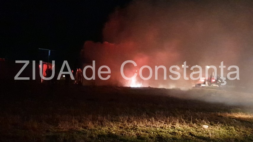 incendiu in incinta unui adapost de animale din techirghiol 712298 incendiu in incinta unui adapost de animale din techirghiol 712298