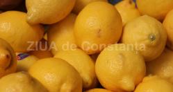 Beneficiile uimitoare ale lămâiei. Acidul citric previne formarea pietrelor la rinichi