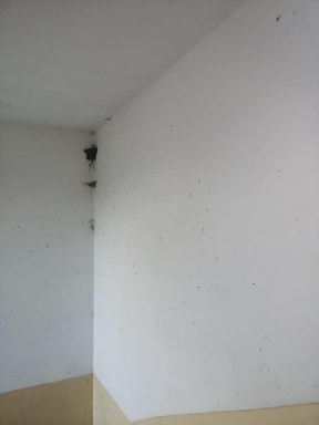 cum arata centrul de permanenta pentru triaj epidemiologic din vama veche ce spune deputatul constantean cum arata centrul de permanenta pentru triaj epidemiologic din vama veche ce spune deputatul constantean