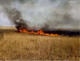 UPDATE Incendiu în județul Tulcea. Vezi pentru ce intervin pompierii (galerie foto+video)