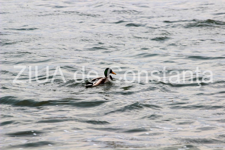 fotoreportaj imaginile din parcul tabacarie de la inceput de martie galerie foto 714223 fotoreportaj imaginile din parcul tabacarie de la inceput de martie galerie foto 714223