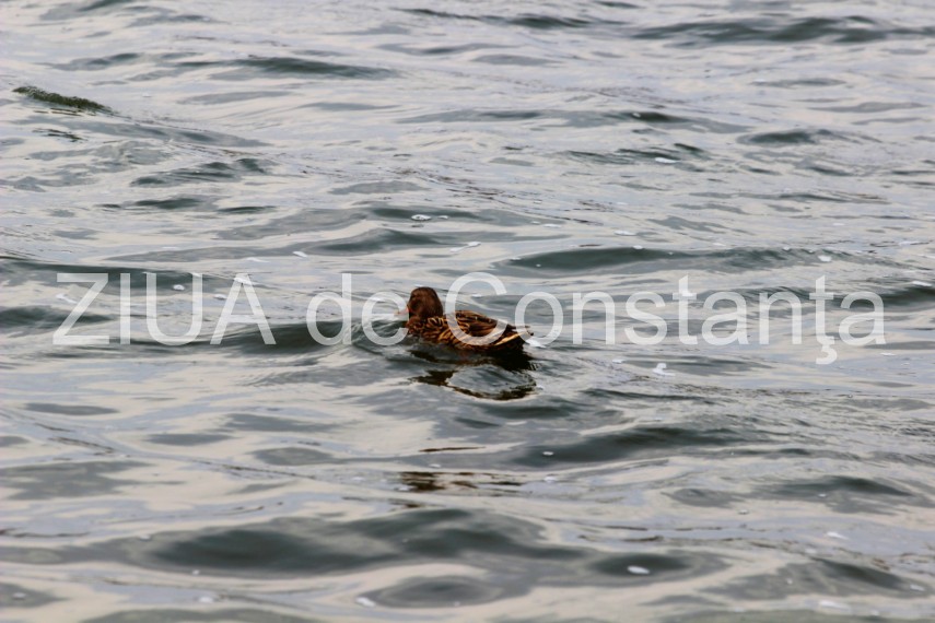 fotoreportaj imaginile din parcul tabacarie de la inceput de martie galerie foto 714223 fotoreportaj imaginile din parcul tabacarie de la inceput de martie galerie foto 714223