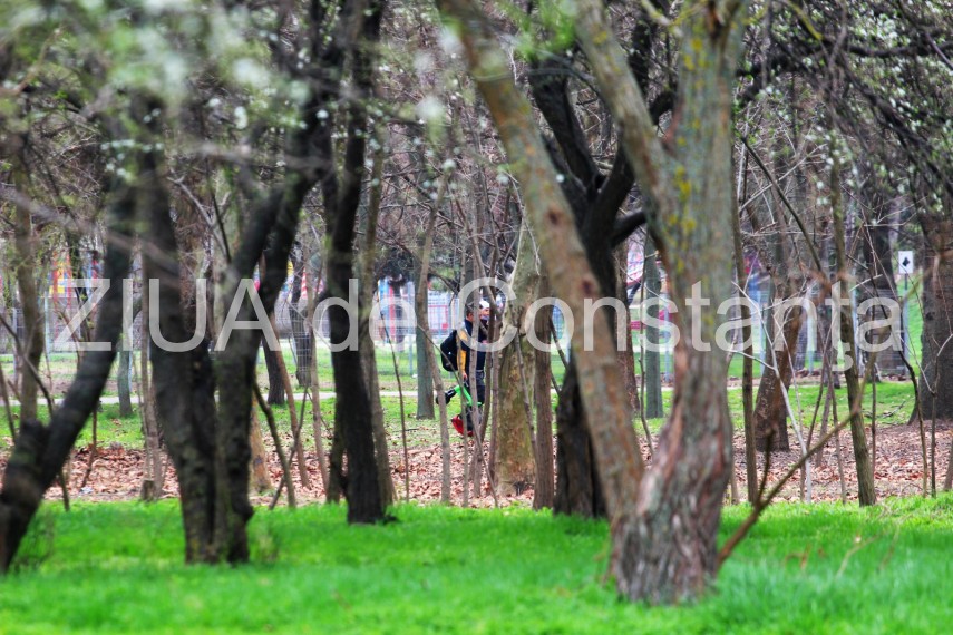 fotoreportaj imaginile din parcul tabacarie de la inceput de martie galerie foto 714223 fotoreportaj imaginile din parcul tabacarie de la inceput de martie galerie foto 714223