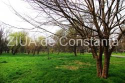 Fotoreportaj Imaginile din Parcul Tăbăcărie de la început de martie (galerie foto)