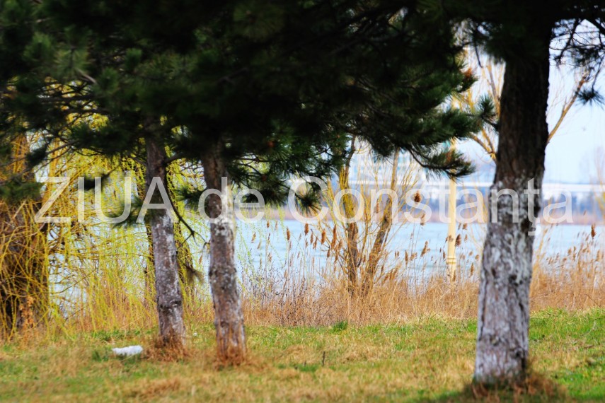 fotoreportaj imaginile din parcul tabacarie de la inceput de martie galerie foto 714223 fotoreportaj imaginile din parcul tabacarie de la inceput de martie galerie foto 714223