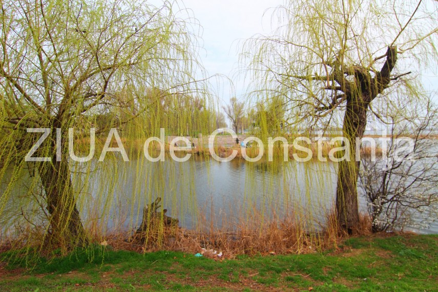 fotoreportaj imaginile din parcul tabacarie de la inceput de martie galerie foto 714223 fotoreportaj imaginile din parcul tabacarie de la inceput de martie galerie foto 714223