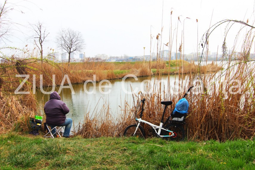 fotoreportaj imaginile din parcul tabacarie de la inceput de martie galerie foto 714223 fotoreportaj imaginile din parcul tabacarie de la inceput de martie galerie foto 714223