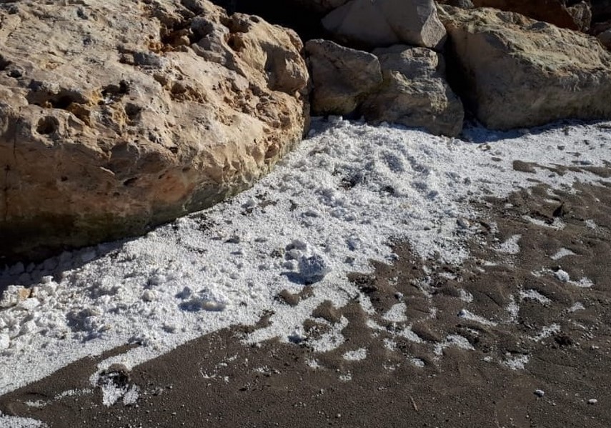 risc de poluare pe plaja din dreptul hotelului inter venus judetul constanta au fost sesizate abadl si risc de poluare pe plaja din dreptul hotelului inter venus judetul constanta au fost sesizate abadl si