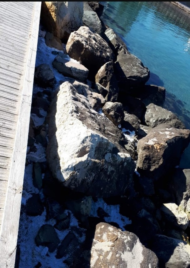 risc de poluare pe plaja din dreptul hotelului inter venus judetul constanta au fost sesizate abadl si risc de poluare pe plaja din dreptul hotelului inter venus judetul constanta au fost sesizate abadl si