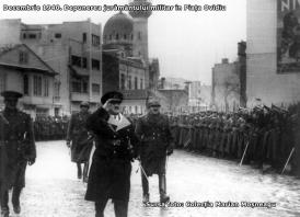 Gripa amiralului Doamna Cioc ripostează (galerie foto) 