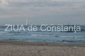 Poezia zilei Din fâlfâirea aripilor   –Irina Lucia Mihalca