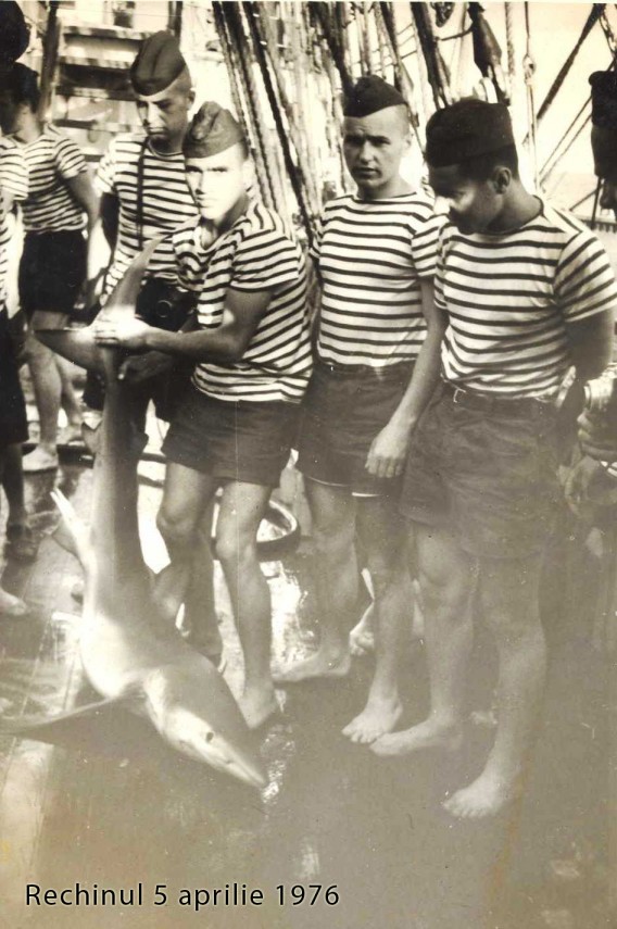 boxand pe valuri cosmarul din atlantic galerie foto 717450 boxand pe valuri cosmarul din atlantic galerie foto 717450