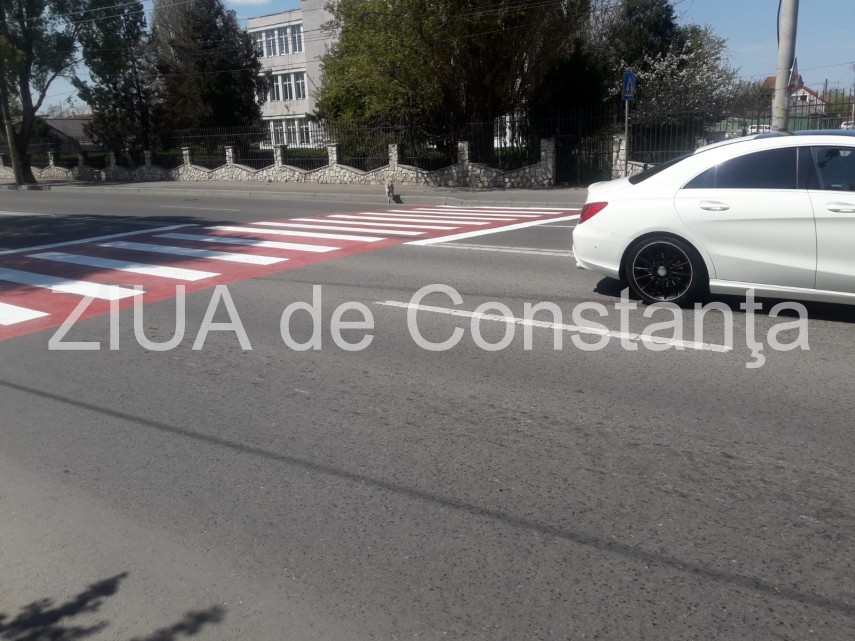 constanta cainele care trece singur strada pe trecerea de pietoni nu travereseaza niciodata fara sa se constanta cainele care trece singur strada pe trecerea de pietoni nu travereseaza niciodata fara sa se