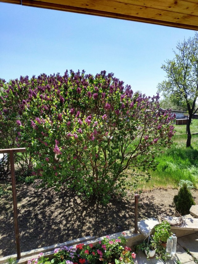 constantaestebine fotoreportaj imagini de la balcoanele constantenilor cu ce peisaje isi alina oamenii constantaestebine fotoreportaj imagini de la balcoanele constantenilor cu ce peisaje isi alina oamenii