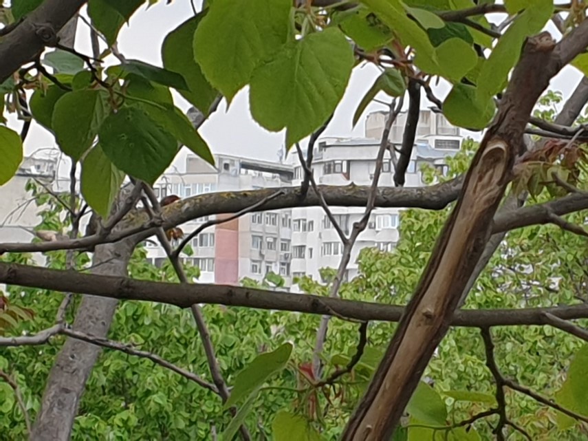 constantaestebine fotoreportaj imagini de la balcoanele constantenilor cu ce peisaje isi alina oamenii constantaestebine fotoreportaj imagini de la balcoanele constantenilor cu ce peisaje isi alina oamenii