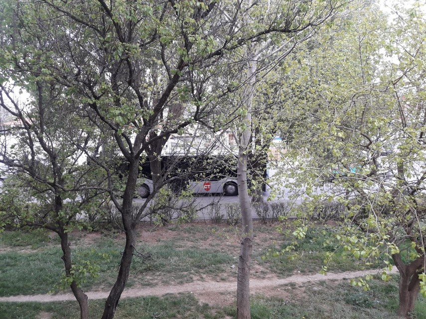 constantaestebine fotoreportaj imagini de la balcoanele constantenilor cu ce peisaje isi alina oamenii constantaestebine fotoreportaj imagini de la balcoanele constantenilor cu ce peisaje isi alina oamenii