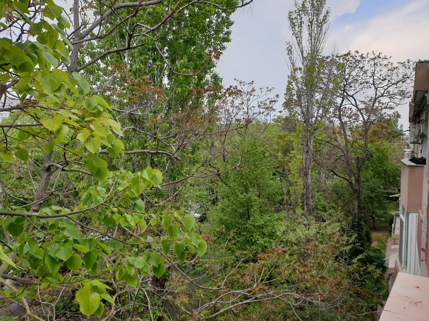 constantaestebine fotoreportaj imagini de la balcoanele constantenilor cu ce peisaje isi alina oamenii constantaestebine fotoreportaj imagini de la balcoanele constantenilor cu ce peisaje isi alina oamenii