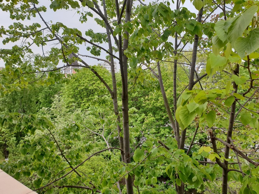 constantaestebine fotoreportaj imagini de la balcoanele constantenilor cu ce peisaje isi alina oamenii constantaestebine fotoreportaj imagini de la balcoanele constantenilor cu ce peisaje isi alina oamenii