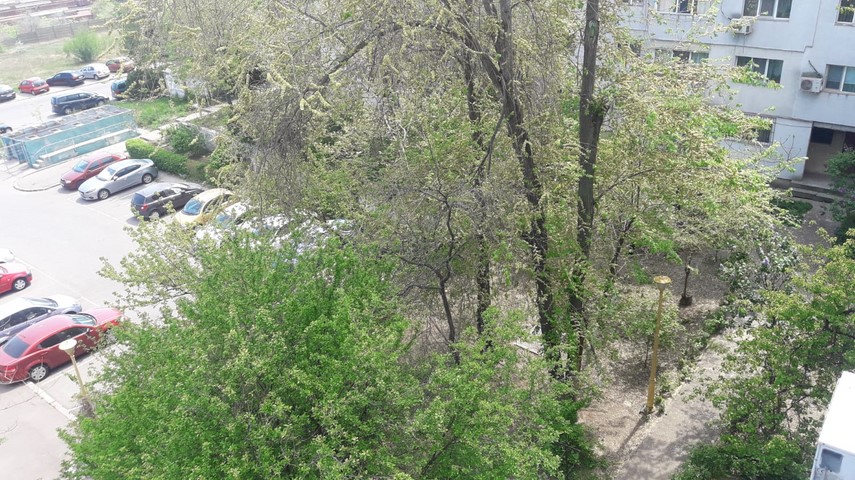 constantaestebine fotoreportaj imagini de la balcoanele constantenilor cu ce peisaje isi alina oamenii constantaestebine fotoreportaj imagini de la balcoanele constantenilor cu ce peisaje isi alina oamenii