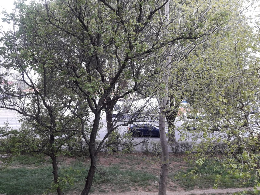 constantaestebine fotoreportaj imagini de la balcoanele constantenilor cu ce peisaje isi alina oamenii constantaestebine fotoreportaj imagini de la balcoanele constantenilor cu ce peisaje isi alina oamenii