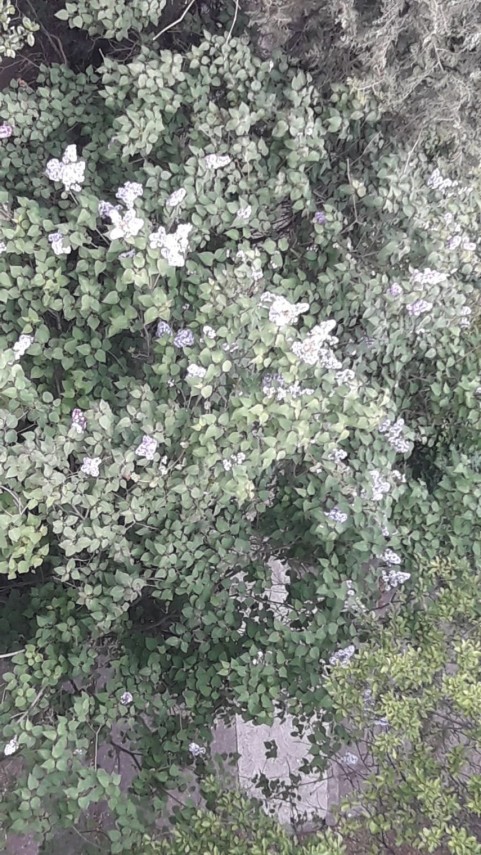 constantaestebine fotoreportaj imagini de la balcoanele constantenilor cu ce peisaje isi alina oamenii constantaestebine fotoreportaj imagini de la balcoanele constantenilor cu ce peisaje isi alina oamenii