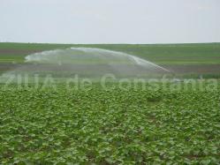 În Dobrogea se mai irigă doar 4500 de ha. După 30 de ani, doar 1% din suprafața irigată mai are sistemul de irigații funcțional