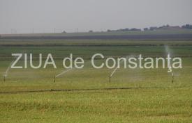 Mihai Lupu(PNL) “COVID-19 și seceta, lecții pentru noi toți, dobrogenii. Dar avem soluții!” 