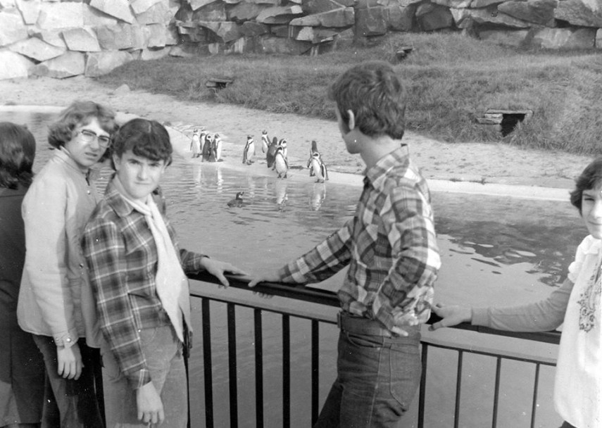 supa de broasca testoasa si coloanele de tancuri inotatorii de la clubul sportiv scolar nr 1 constanta supa de broasca testoasa si coloanele de tancuri inotatorii de la clubul sportiv scolar nr 1 constanta