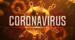 Statistica europeană Cele mai multe cazuri înregistrate în Regatul Unit, Spania, Italia, Franţa și Germania. 