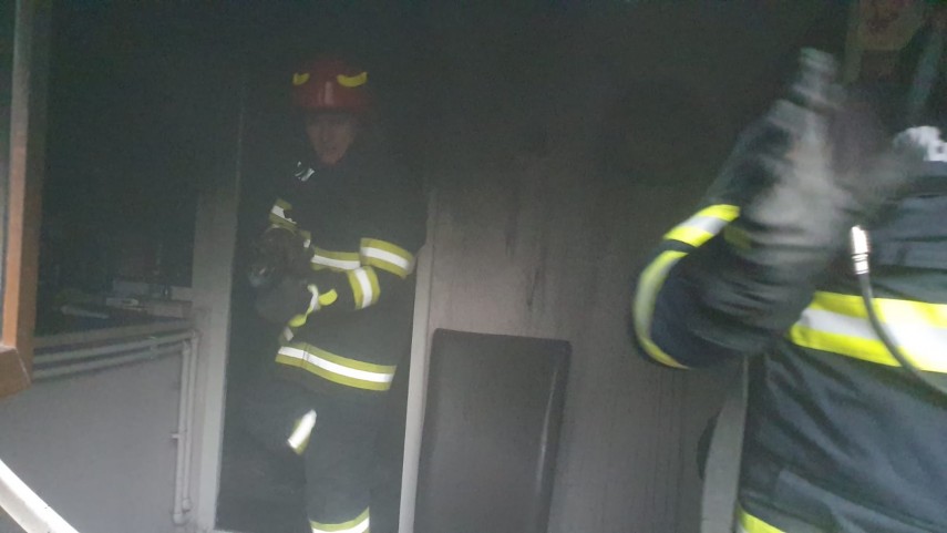 orice viata conteaza catel salvat dintr un incendiu de pompierii constanteni galerie foto 721473 orice viata conteaza catel salvat dintr un incendiu de pompierii constanteni galerie foto 721473