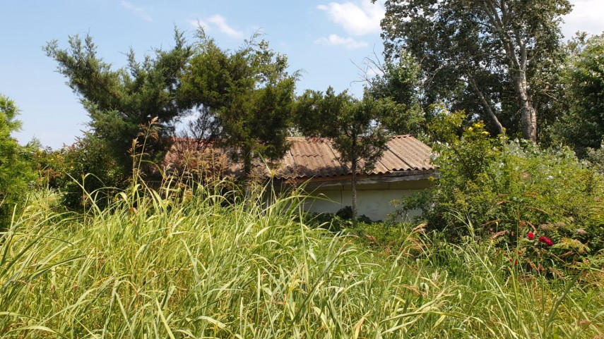 protejat de un proiect european incremenit de patru ani in implementare inestimabilul mormant pictat protejat de un proiect european incremenit de patru ani in implementare inestimabilul mormant pictat