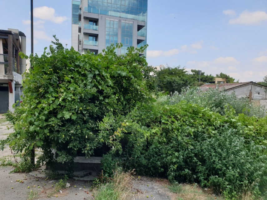 protejat de un proiect european incremenit de patru ani in implementare inestimabilul mormant pictat protejat de un proiect european incremenit de patru ani in implementare inestimabilul mormant pictat