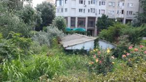 „Protejat” de un proiect european încremenit de patru ani în... implementare   Inestimabilul mormânt pictat hypogeu prăduit din nou. Strigăt de disperare al constănțenilor (galerie foto+video)     