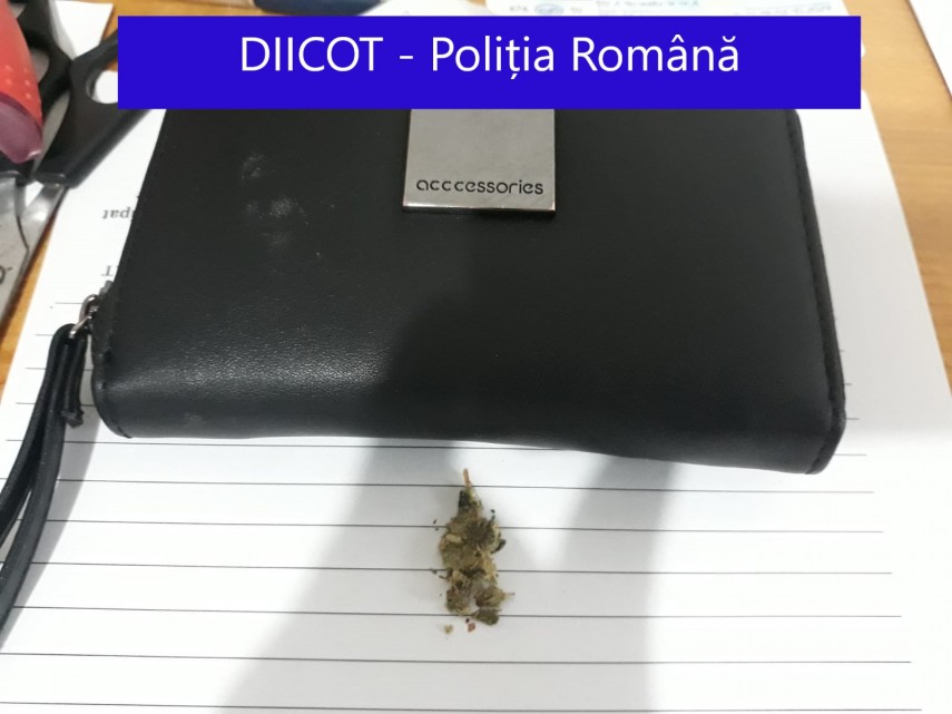 perchezitii la persoane banuite de trafic de droguri mai multi suspecti condusi la audieri galerie foto perchezitii la persoane banuite de trafic de droguri mai multi suspecti condusi la audieri galerie foto