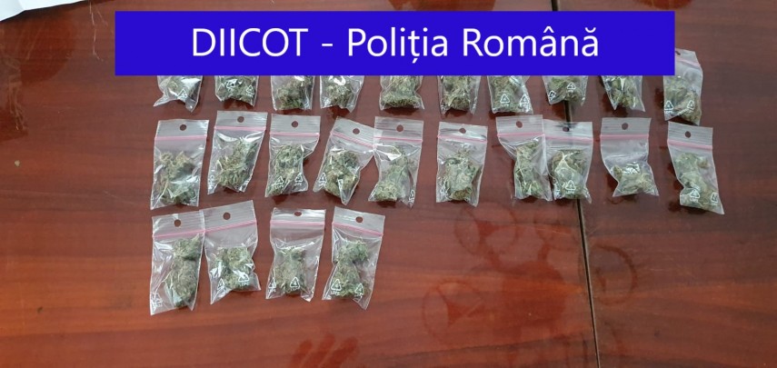 perchezitii la persoane banuite de trafic de droguri mai multi suspecti condusi la audieri galerie foto perchezitii la persoane banuite de trafic de droguri mai multi suspecti condusi la audieri galerie foto