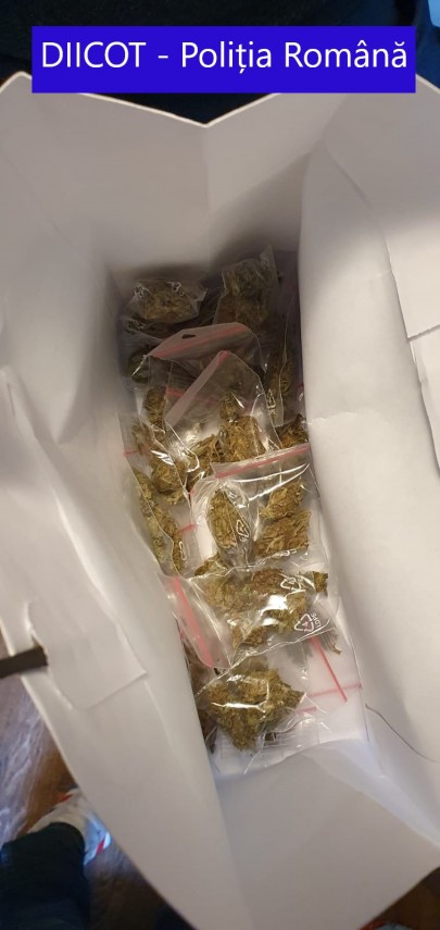 perchezitii la persoane banuite de trafic de droguri mai multi suspecti condusi la audieri galerie foto perchezitii la persoane banuite de trafic de droguri mai multi suspecti condusi la audieri galerie foto