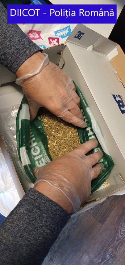 perchezitii la persoane banuite de trafic de droguri mai multi suspecti condusi la audieri galerie foto perchezitii la persoane banuite de trafic de droguri mai multi suspecti condusi la audieri galerie foto