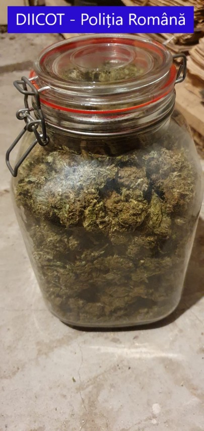 perchezitii la persoane banuite de trafic de droguri mai multi suspecti condusi la audieri galerie foto perchezitii la persoane banuite de trafic de droguri mai multi suspecti condusi la audieri galerie foto