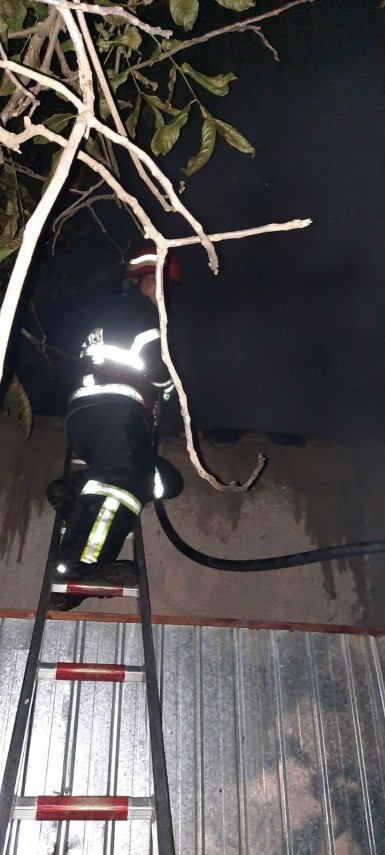 locuinta parasita cuprinsa de flacari la slava rusa galerie foto 727514 locuinta parasita cuprinsa de flacari la slava rusa galerie foto 727514