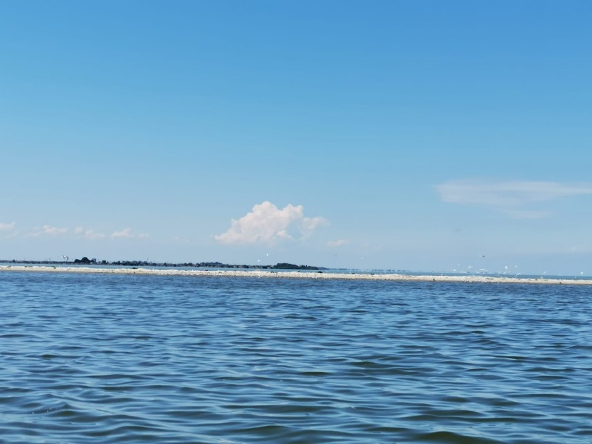 misterioasa si minunata insula k cel mai tanar taram din rezervatia biosferei delta dunarii galerie foto misterioasa si minunata insula k cel mai tanar taram din rezervatia biosferei delta dunarii galerie foto